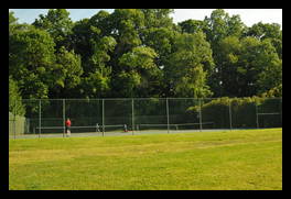 Picture of the Tennis Courts