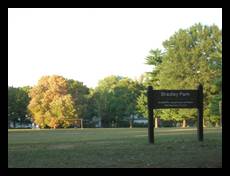 Park Sign